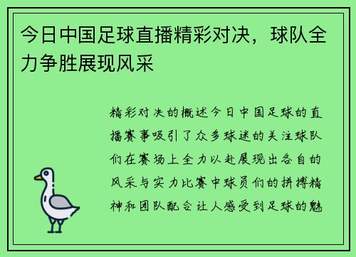 今日中国足球直播精彩对决，球队全力争胜展现风采
