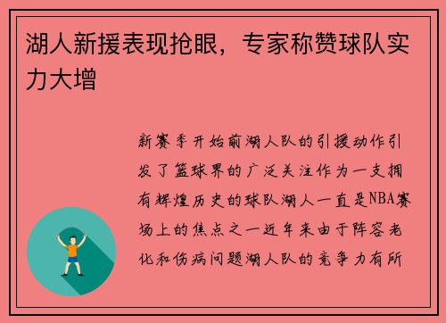 湖人新援表现抢眼，专家称赞球队实力大增